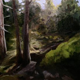 Forest Study