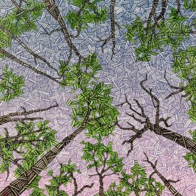 Night Canopy II