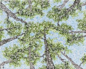 Forest Code